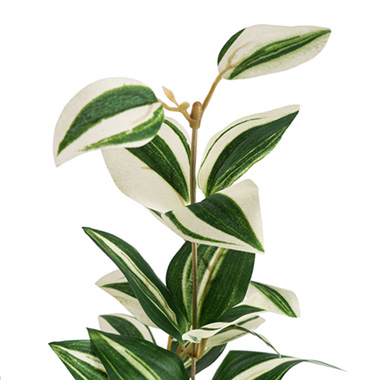 Artificial Tradescantia Leaf Spray White Green (74cmH)