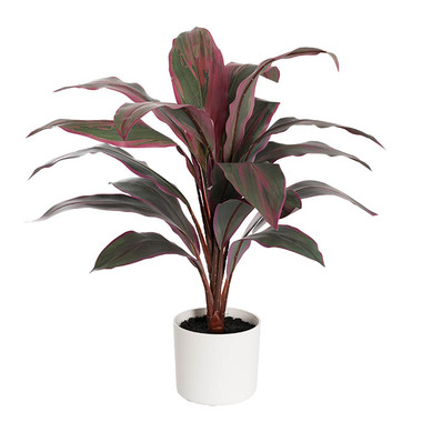 Artificial Indoor Plants - Real Touch Faux Cordyline Plant Potted Red (65cmH)