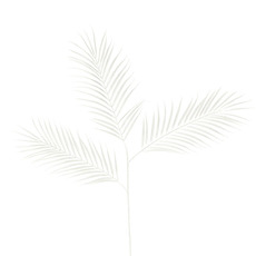 Artificial Leaves - Palm Leaf Spray Cream (95cmH)