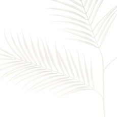 Palm Leaf Spray Cream (95cmH)