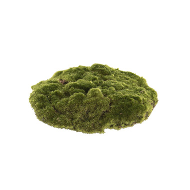 Artificial Moss Rocks XX Large Pack 2 Green (22cmD)