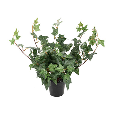 Artificial Plants - Potted English Ivy Bush Green (23cmH)