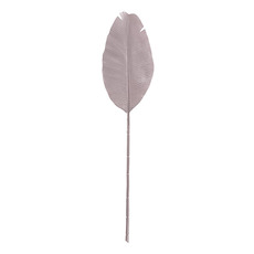 Christmas Flowers & Greenery - Bird of Paradise Leaf Long Stem Metallic Almond (95cmH)
