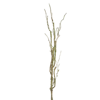 Artificial Branches - Artificial Long Stem Twig Branch Powder Gold Green (110cmH)