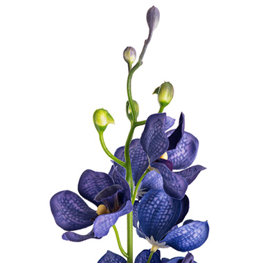 Mokara Orchid Spray French Blue (49cmH)