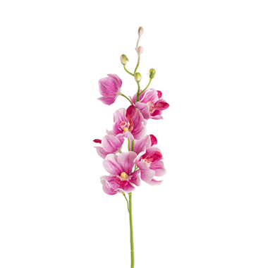 Artificial Orchids - Mokara Orchid Spray Hot Pink (49cmH)