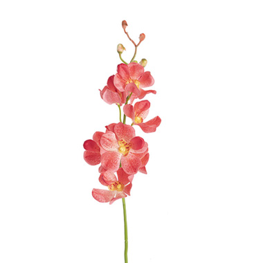 Artificial Orchids - Mokara Orchid Spray Peach (49cmH)