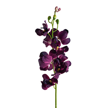 Artificial Orchids - Mokara Orchid Spray Purple (49cmH)