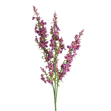 Australian & Native Flowers - Catmint Spray Violet (75cmH)