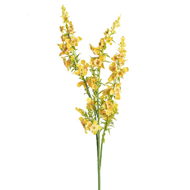 Australian & Native Flowers - Catmint Spray Yellow (75cmH)