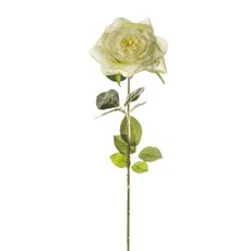 Artificial Roses - Ecuador Premium Rose Combo White (85cmH)