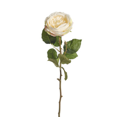 Artificial Roses - Grace Garden Rose Stem Dusty Cream (76cmH)