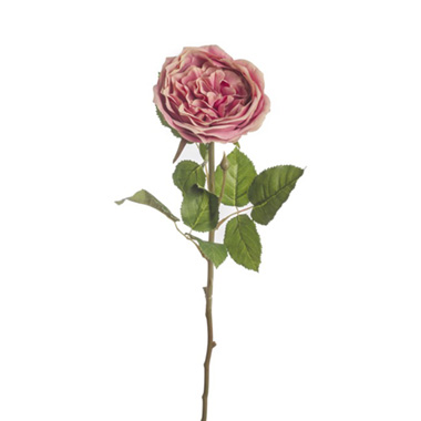 Artificial Roses - Grace Garden Rose Stem Dusty Pink (76cmH)