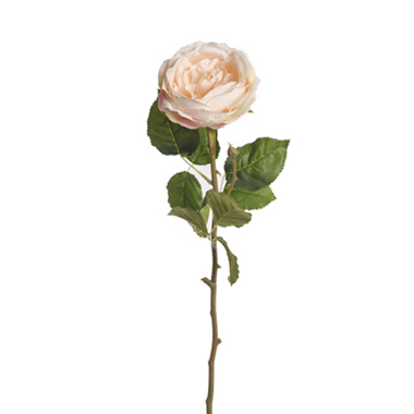 Artificial Roses - Grace Garden Rose Stem Nude (76cmH)