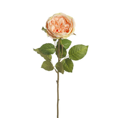 Artificial Roses - Grace Garden Rose Stem Dusty Peach (76cmH)