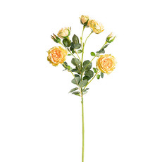 Artificial Roses - Anna Garden Rose Spray Marigold Yellow (73cmH)