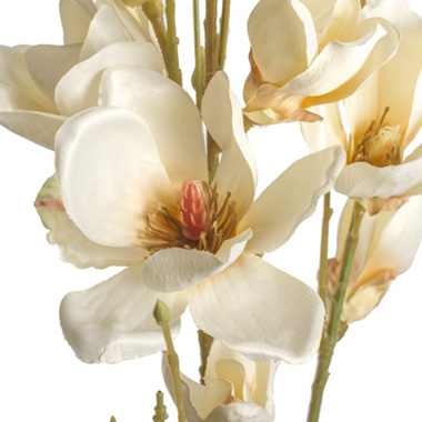 Magnolia Spray White (154cmH)