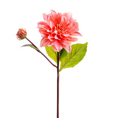 Other Artificial Flowers - Dahlia Stem Coral Pink (53cmH)