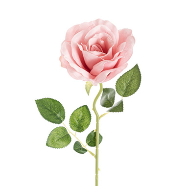 - Sophie Open Rose Stem Dusty Pink (11.5cmDx51cmH)