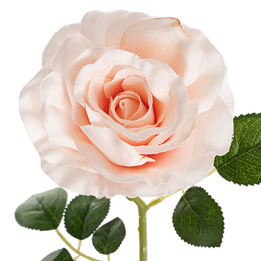 Sophie Open Rose Stem Pale Pink (11.5cmDx51cmH)