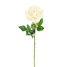 Artificial Roses - Blooming Garden Rose Stem White (13cmDx64cmH)