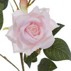 Garden Rose 7 Head Spray Pale Pink (97cmH)