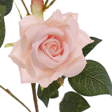 Garden Rose 7 Head Spray Soft Peach (97cmH)