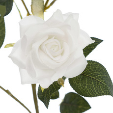 Garden Rose 7 Head Spray White (97cmH)