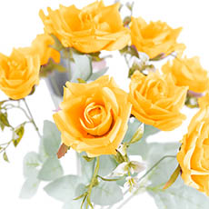 Blooming Garden Rose 11 Head Bouquet Yellow (8cmDx51cmH)