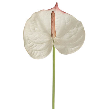 Artificial Tropical Flowers - Anthurium Real Touch Large Cream (70cmH)