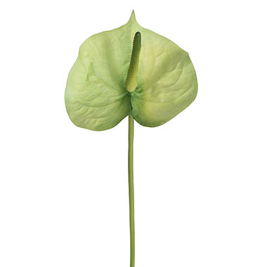 Artificial Tropical Flowers - Anthurium Real Touch Large Green (70cmH)
