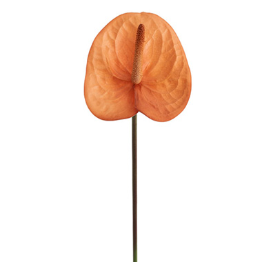 Artificial Tropical Flowers - Real Touch Anthurium Caramel Beige (63cmH)