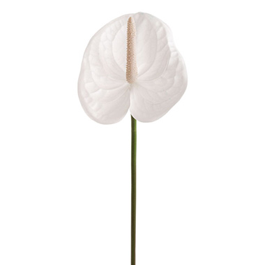 Artificial Tropical Flowers - Real Touch Anthurium White (63cmH)