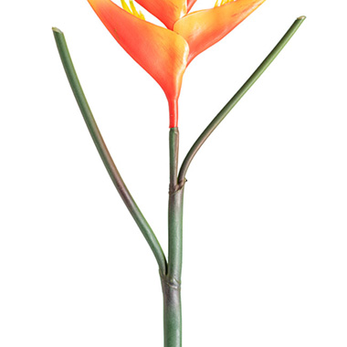 Heliconia Flower Stem Orange (86cmH)