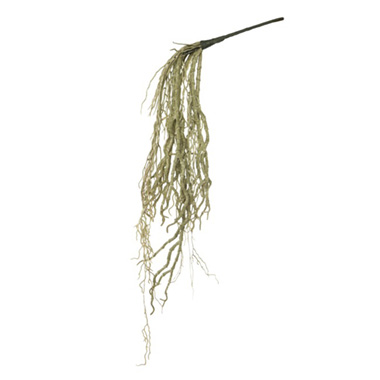  - Hanging Orchid Roots Bunch Grey (52cmH)