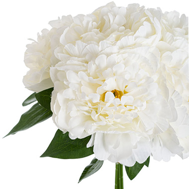 Peony Bouquet x 5 Flower Heads White (32cmH)