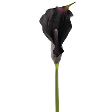 Real Touch Lillies - Real Touch Calla Lily Black (72cmH)