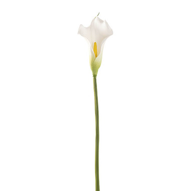 Real Touch Lillies - Real Touch Calla Lily White (8cmWx61cmH)