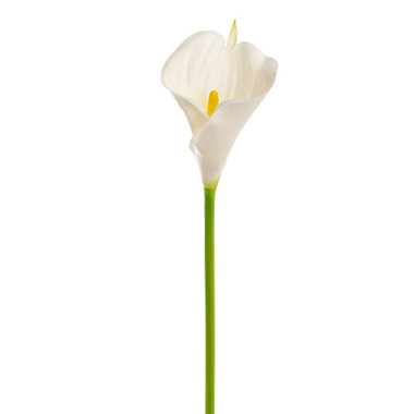 Artificial Lilies - Calla Lily Open Bloom Stem (70cmST) Real Touch White