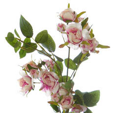 Audrey Cabbage Rose Bud Spray Cream Pink (76cmH)