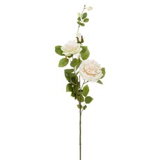 Artificial Roses - Christina Peony Rose Spray Champagne (89cmH)