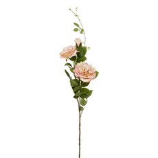 Artificial Roses - Christina Peony Rose Spray Cream Pink (89cmH)