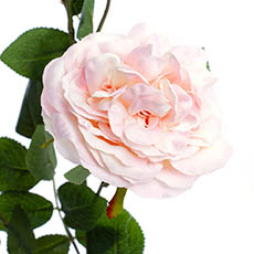 Christina Peony Rose Spray Light Pink (89cmH)
