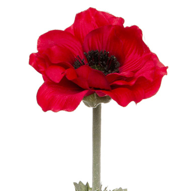 Poppy Flanders with Black Centre (55cmH) Red