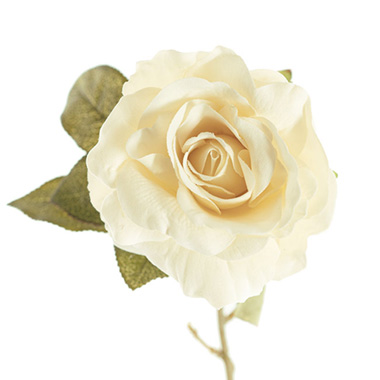 Artificial Roses - Event Rose Short Stem Antique Cream (11cmDx35cmH)