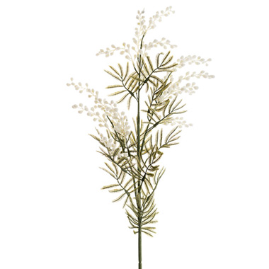 Australian & Native Flowers - Australian Native Wattle White (85cmH)