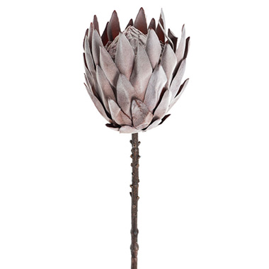 Dried Look XL Artificial Queen Protea Brown (70cmH)