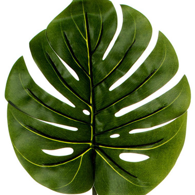 Philo Split Leaf Dark Green (89cmH)