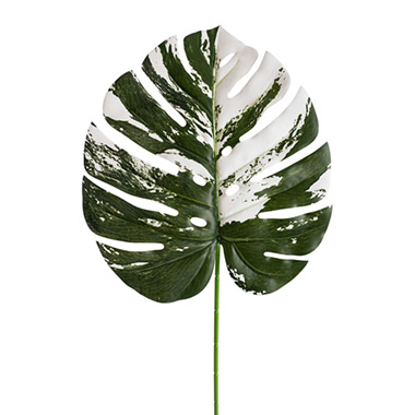 Real Touch Philo Monstera Leaf White Green (79cmH)