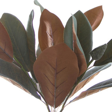 Magnolia Leaf Bunch Green (50cmH)
